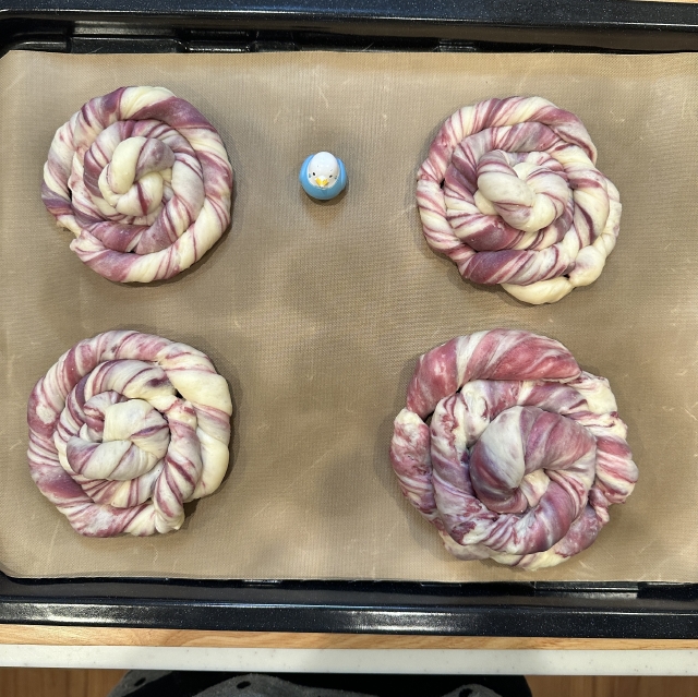 自家製紫芋シートでつくる、秋めいた色合いのうずまき紫芋マーブルパン14