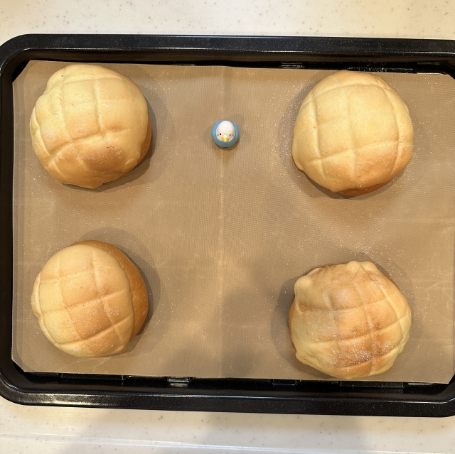 日本の菓子パンと言えばコレ！厚焼きクッキーのサクッと仕上げのメロンパン11