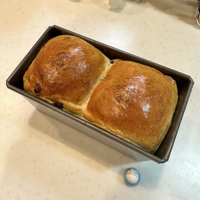 シナモン＆レーズンを使って作る、甘さ引き立つシナモンレーズン食パン16